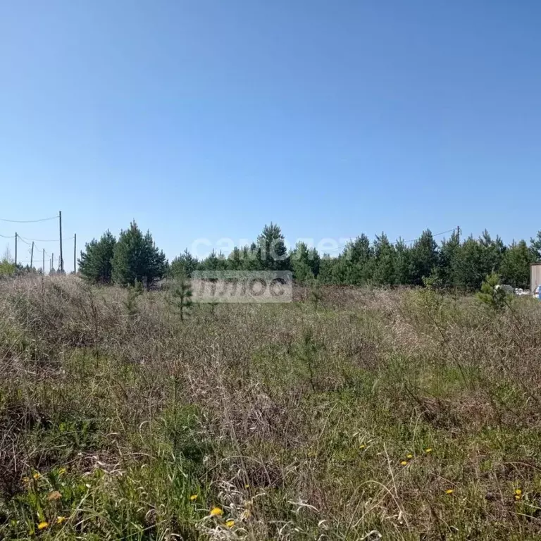 Участок в Свердловская область, Белоярский муниципальный округ  (10.0 ... - Фото 0