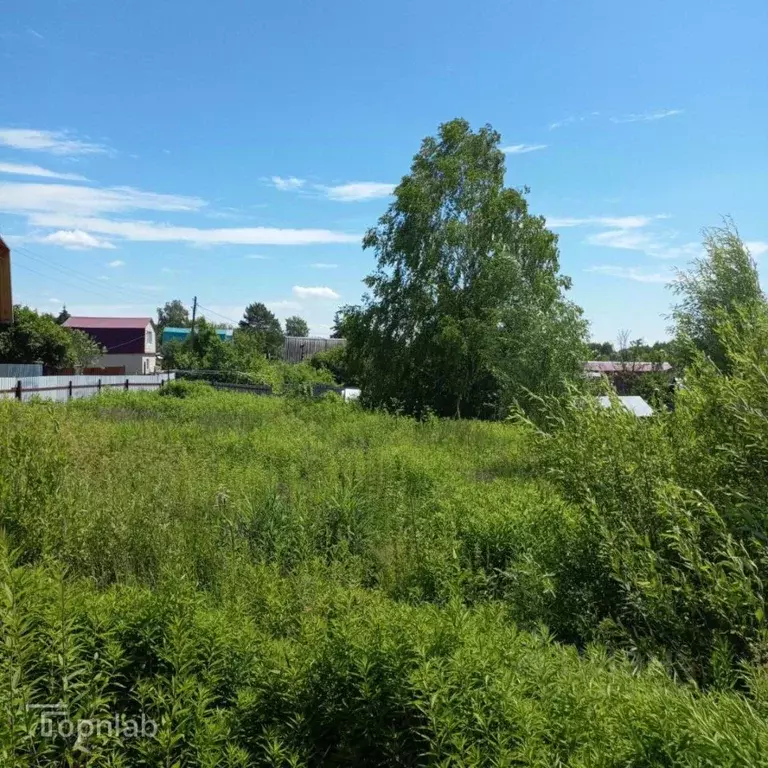 Участок в Татарстан, Казань Кооператор садоводческое товарищество, 232 ... - Фото 1