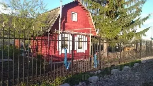 Дом в Омская область, Омск СНТ Ромашка ТСН, аллея 6-я, 31 (35 м) - Фото 2