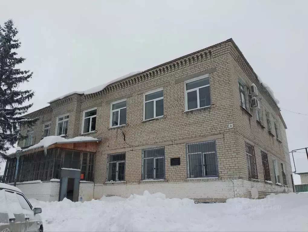 Помещение свободного назначения в Саратовская область, Турки рп ул. ... - Фото 1