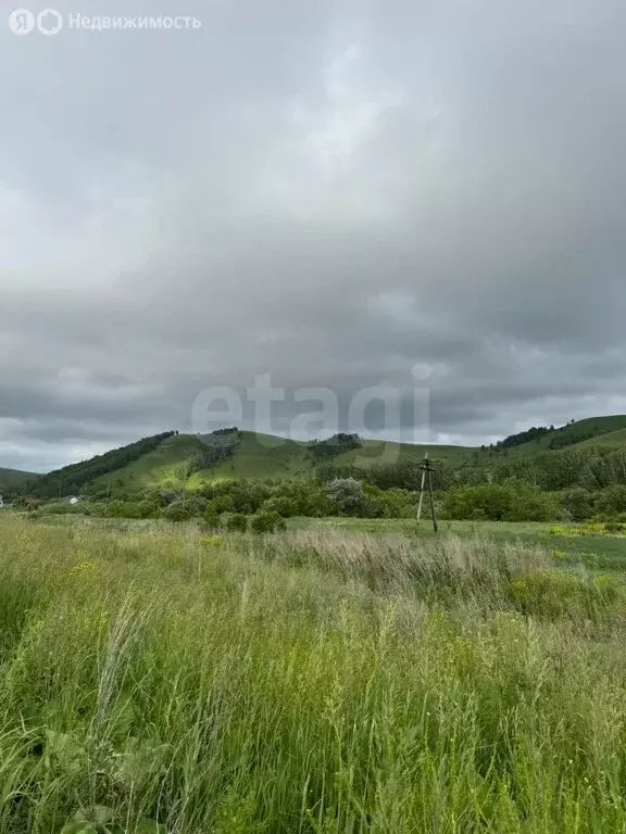Участок в Алтайский район, Айский сельсовет, село Ая (1531 м) - Фото 0