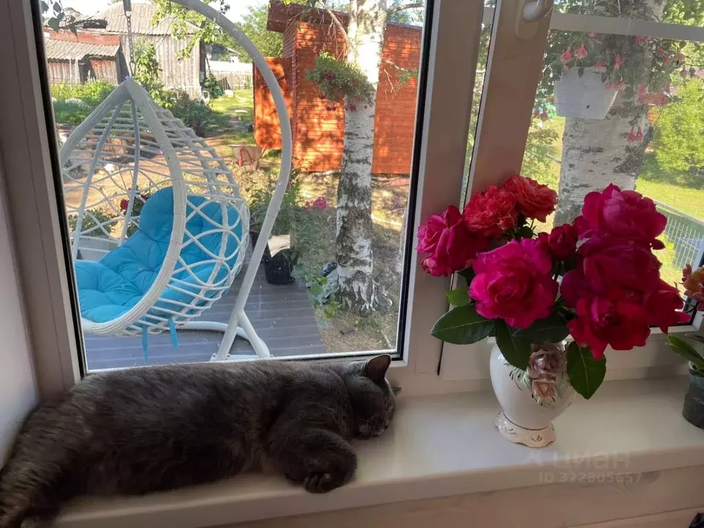 Дом в Новгородская область, Окуловский район, Кулотинское городское ... - Фото 2