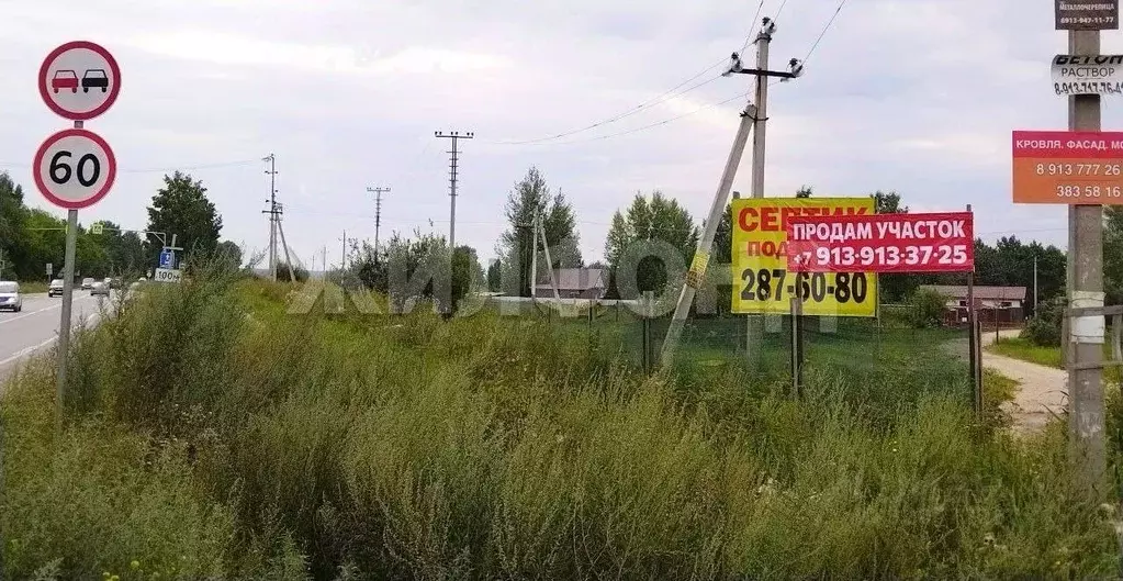 Участок в Новосибирская область, Коченевский район, Дружба-2 СНТ  ... - Фото 0