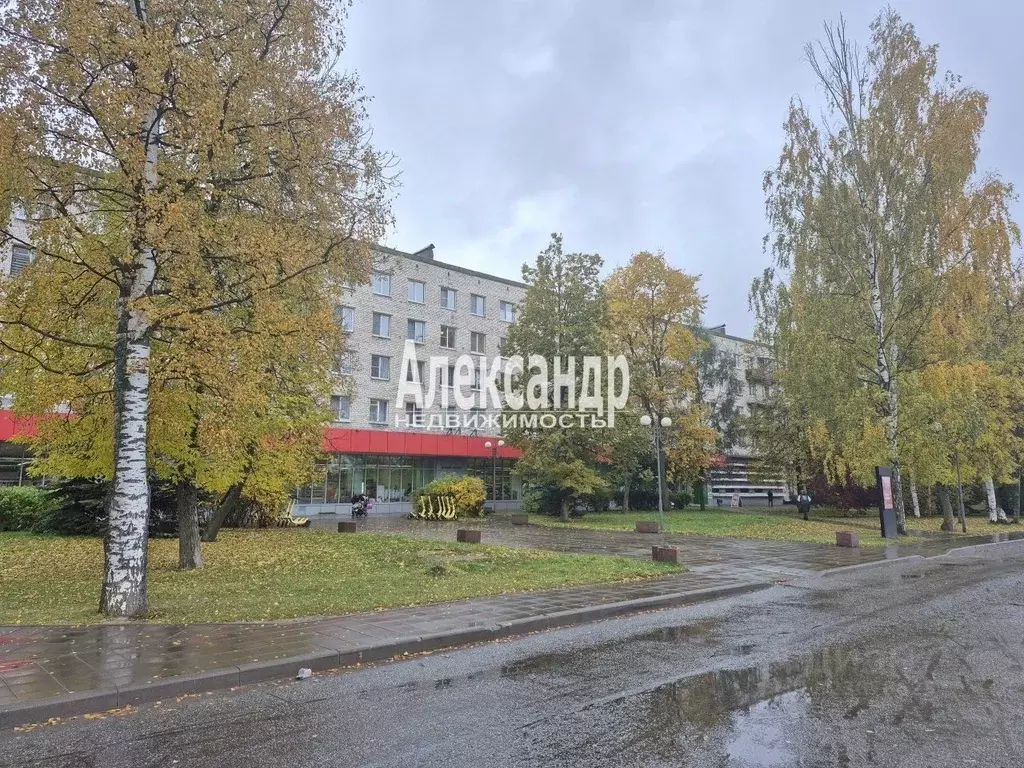 2-к кв. Ленинградская область, Отрадное Кировский район, Невская ул., ... - Фото 1