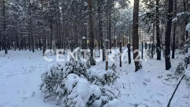 Участок, 10 сот., поселения (ижс) - Фото 2