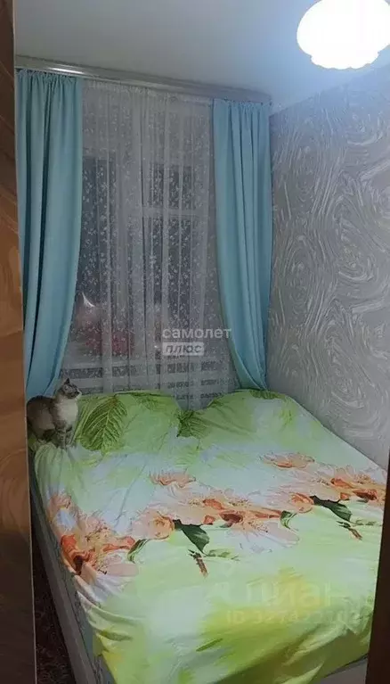 2-к кв. Липецкая область, Липецк ул. Вермишева, 18/2 (22.9 м) - Фото 1