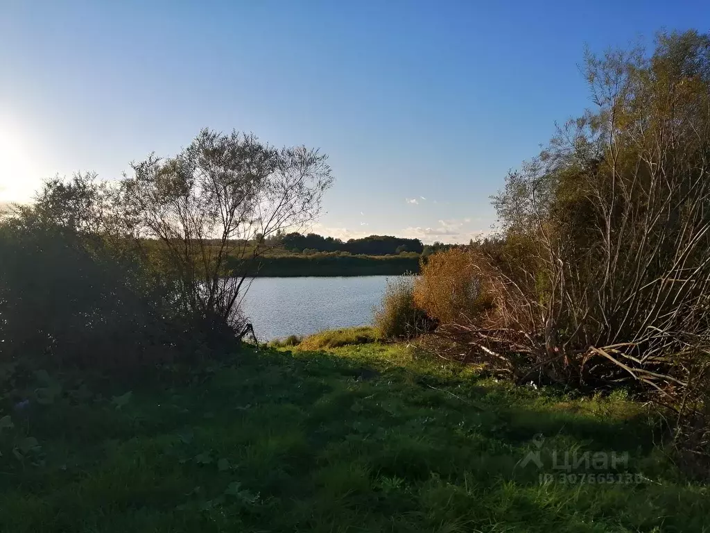 Участок в Новгородская область, Солецкий муниципальный округ, д. ... - Фото 2