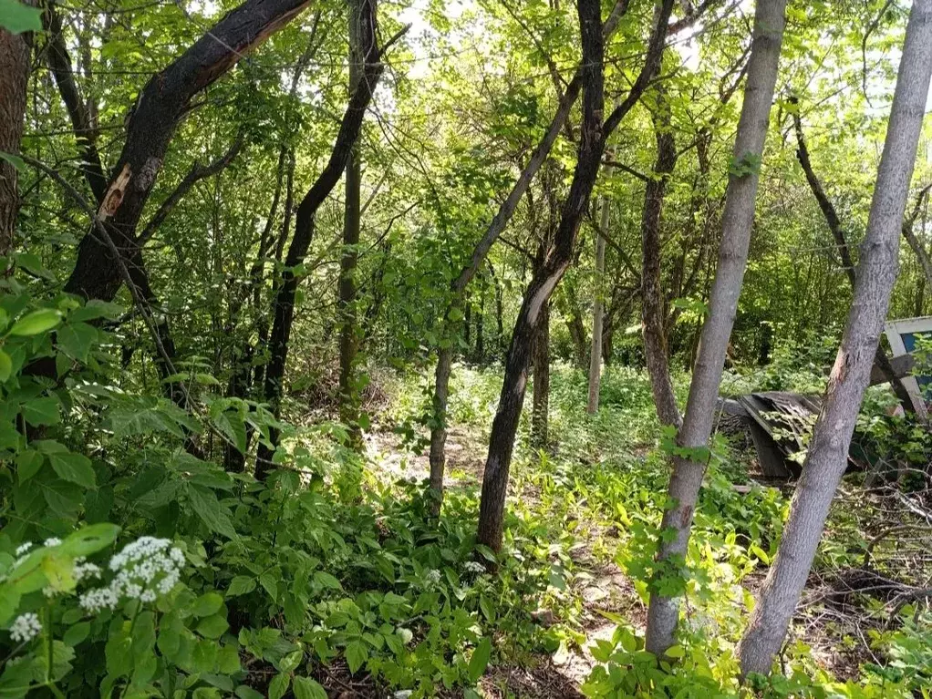 Дом в Нижегородская область, Нижний Новгород Ракета ТСН, 85 (9 м) - Фото 2