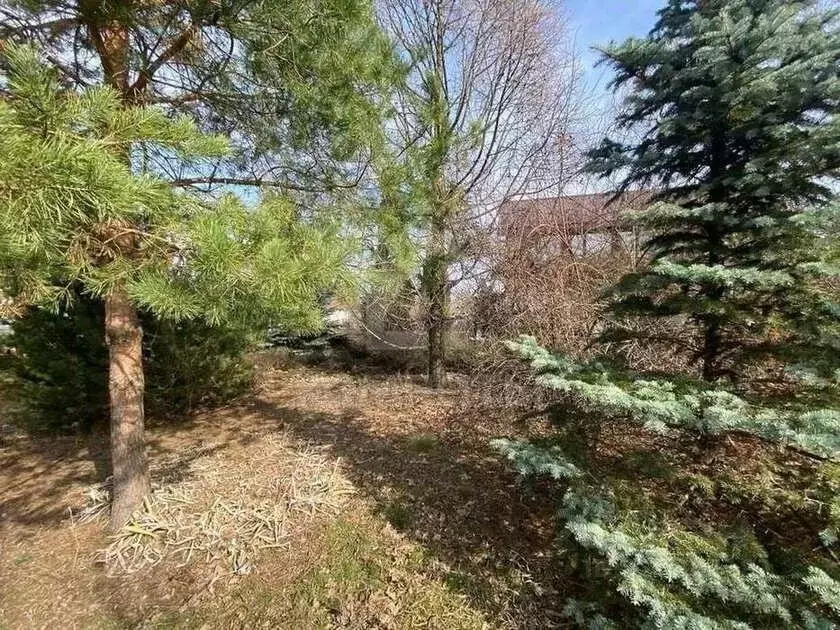 Дом в Воронежская область, Воронеж Гигиенист СНТ,  (180 м) - Фото 2