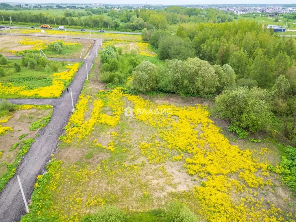Участок в Ленинградская область, Ломоносовский район, Лаголовское ... - Фото 1