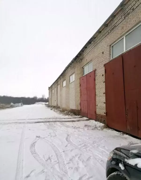 Помещение свободного назначения в Вологодская область, Белозерск ул. ... - Фото 1