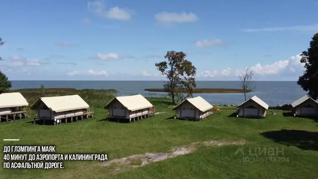 Участок в Калининградская область, Зеленоградский муниципальный округ  ... - Фото 1