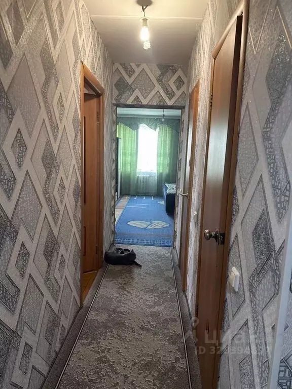 3-к кв. Новосибирская область, Татарск Клубная ул., 29 (51.0 м) - Фото 2