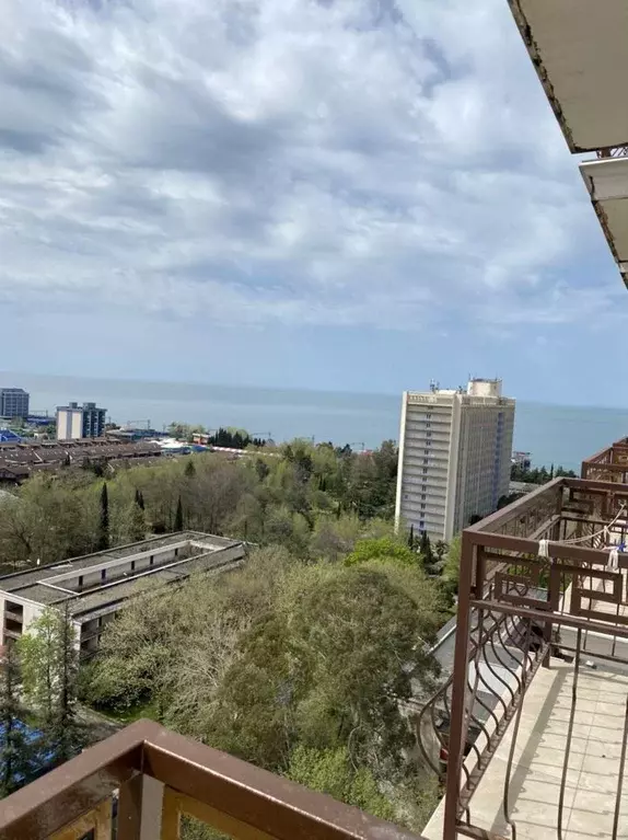 1-к кв. Краснодарский край, Сочи ул. Ленина, 219/6Б (27.0 м) - Фото 2