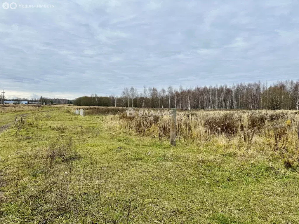 Участок в Арманиха, Молодёжная улица (10 м) - Фото 1