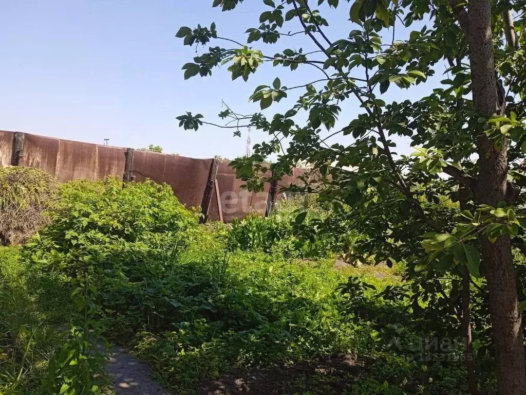 Дом в Челябинская область, Южноуральск Советская ул. (54 м) - Фото 1