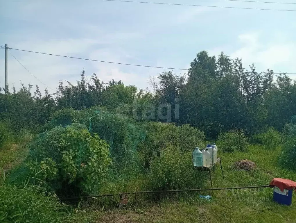 Участок в Новосибирская область, Искитимский район, Чернореченский ... - Фото 0