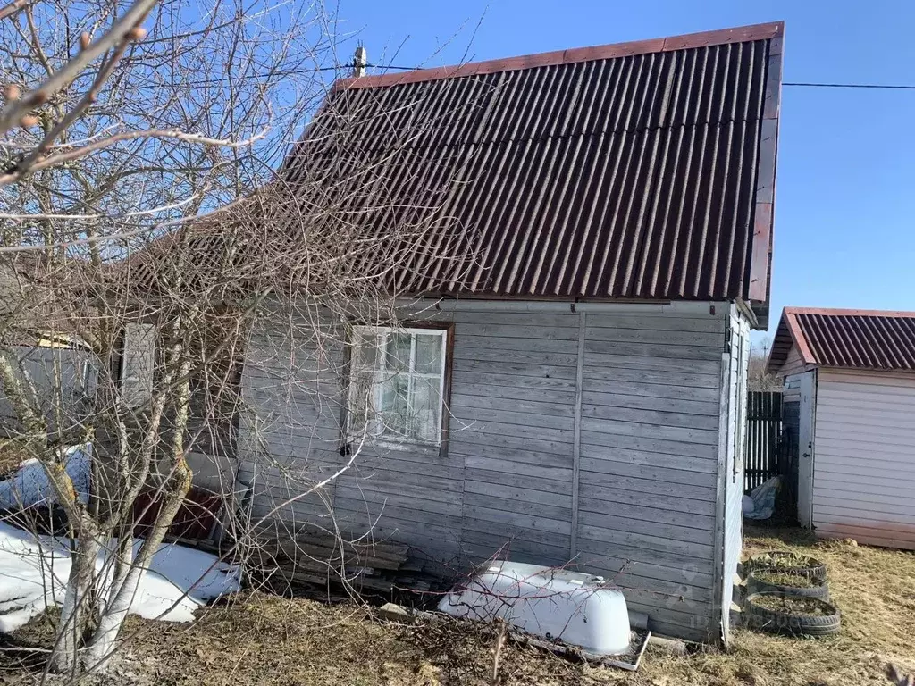Участок в Ярославская область, Тутаевский муниципальный округ, ... - Фото 2