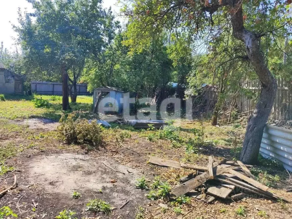 Участок в Белгородская область, Алексеевка ул. Фрунзе (12.0 сот.) - Фото 0