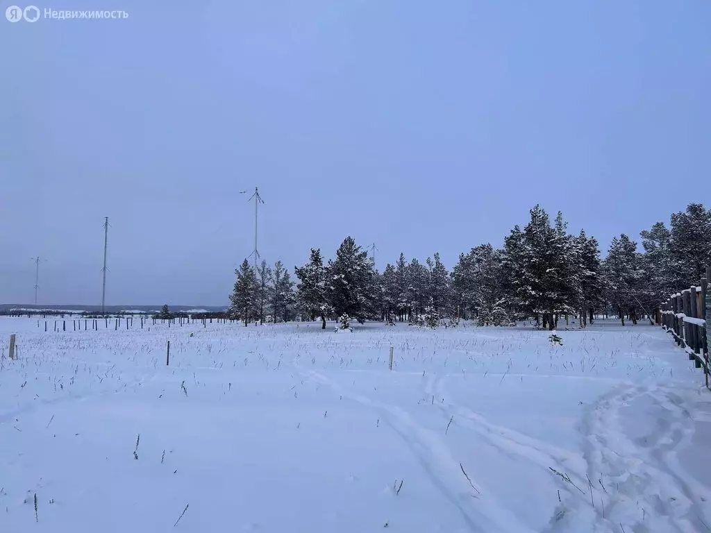 Участок в Республика Саха (Якутия), городской округ Якутск, село ... - Фото 2