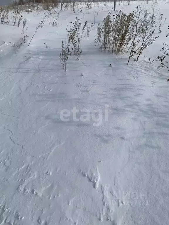 Участок в Свердловская область, Горноуральский городской округ, пос. ... - Фото 0