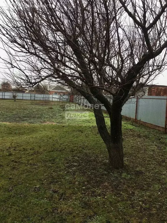 Участок в Ейский район, Александровское сельское поселение, хутор ... - Фото 1