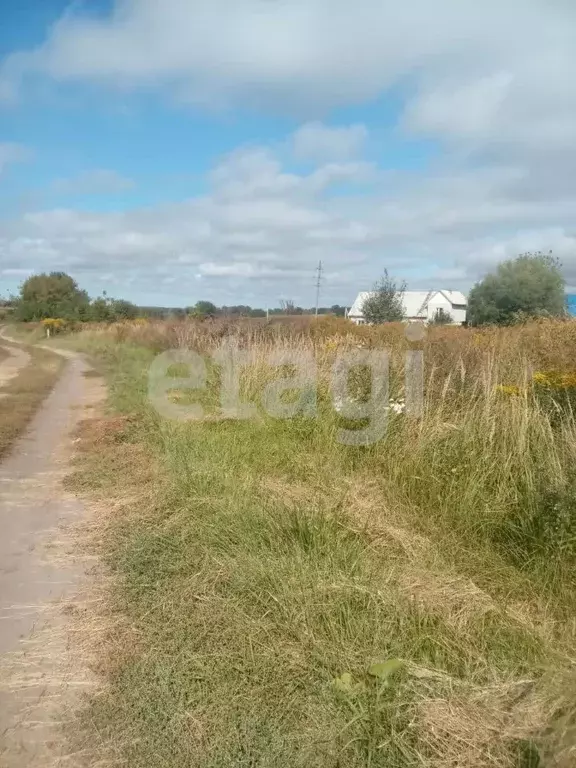 Участок в Брянская область, Брянский район, Мичуринское с/пос, д. ... - Фото 2