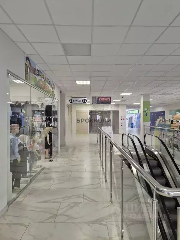 Торговая площадь в Волгоградская область, Волгоград бул. 30-летия ... - Фото 2