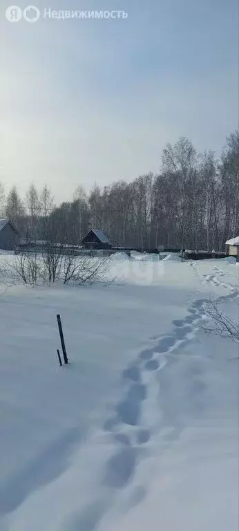 Участок в Каменский сельсовет, СНТ Иня-НАПО (5 м) - Фото 2