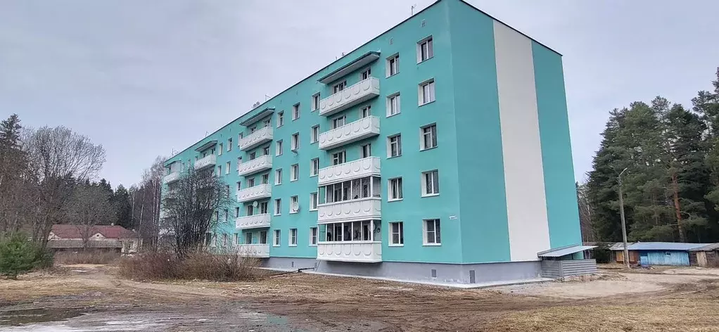 2-к кв. Ленинградская область, Лодейнопольский район, пос. Свирьстрой ... - Фото 1