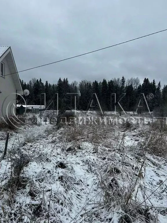 Участок в Ленинградская область, Выборгский район, пос. Селезнево  ... - Фото 1