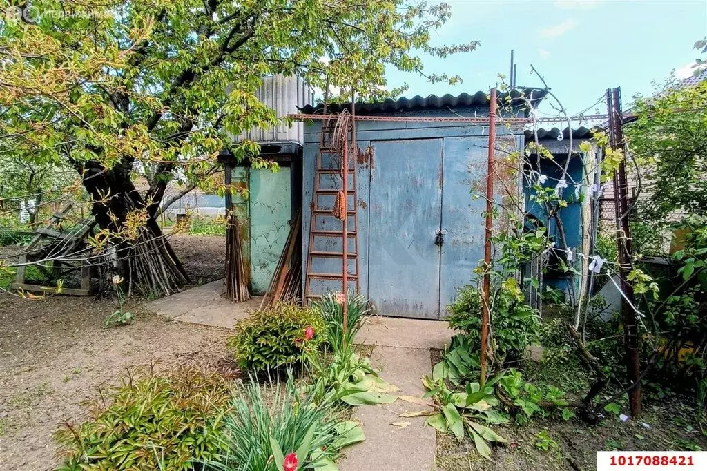 Дом в хутор Ленина, СНТ Белая Чайка, Цветочная улица, 24 (46.1 м) - Фото 1