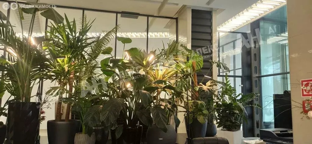 Офис (100 м) - Фото 1