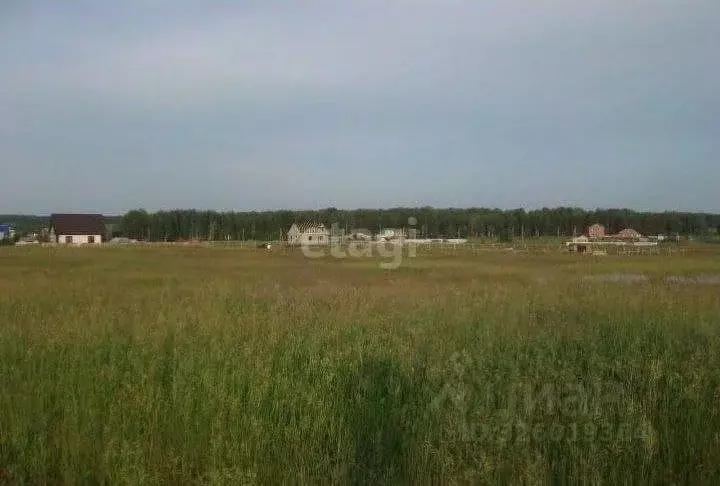 Участок в Челябинская область, Сосновский муниципальный округ, пос. ... - Фото 2