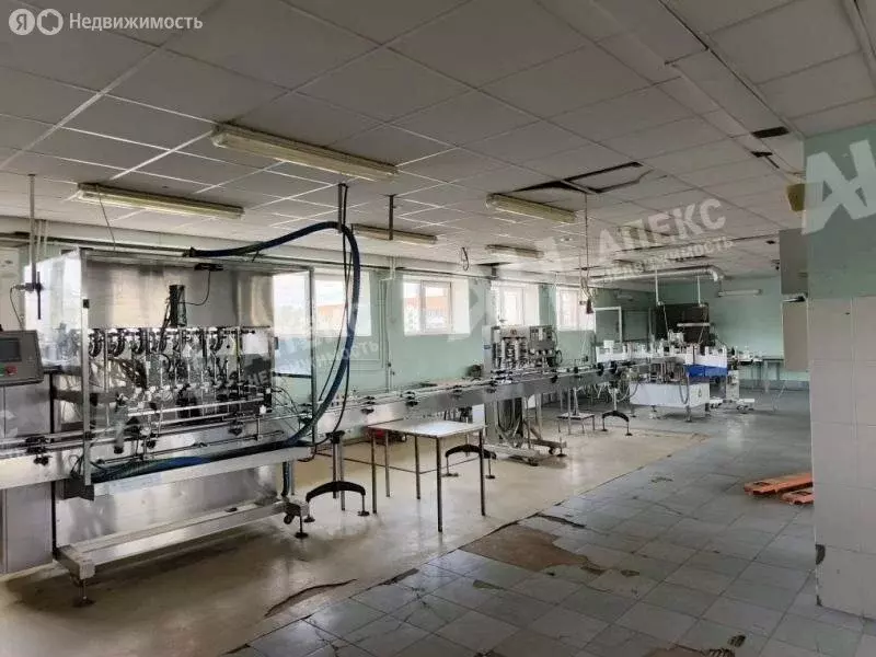 Производственное помещение (700 м) - Фото 2