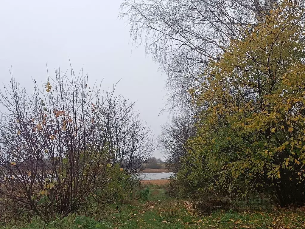 Участок в Новгородская область, Новгородский район, Борковское с/пос, ... - Фото 1