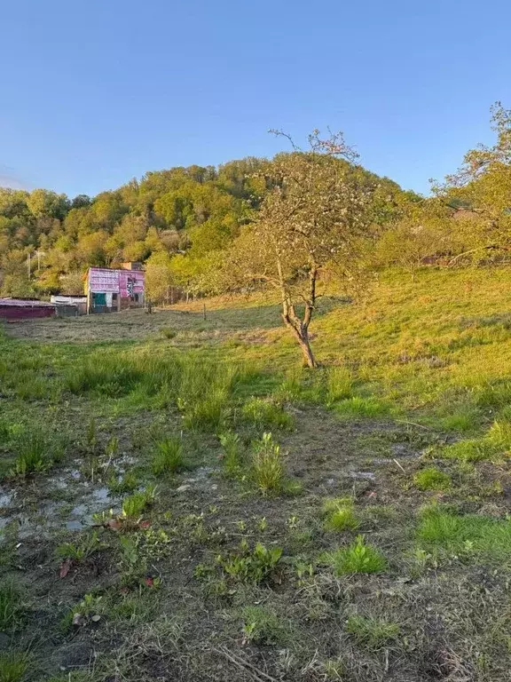 Участок в Краснодарский край, Сочи городской округ, с. Верхнеармянская ... - Фото 0