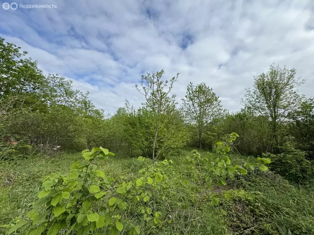 Участок в Апшеронск, Советская улица (10 м) - Фото 1