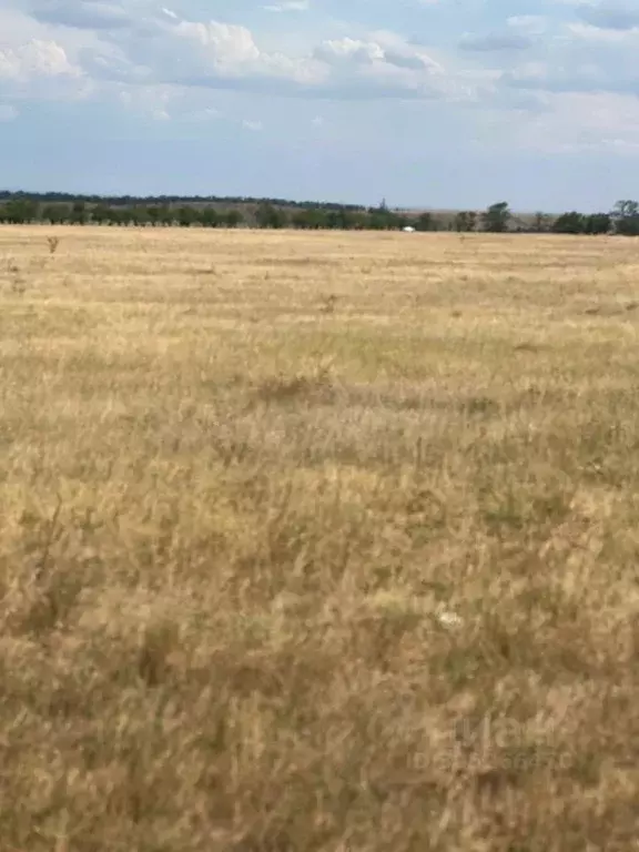 участок в крым, симферопольский район, николаевка пгт ул. советская . - Фото 0