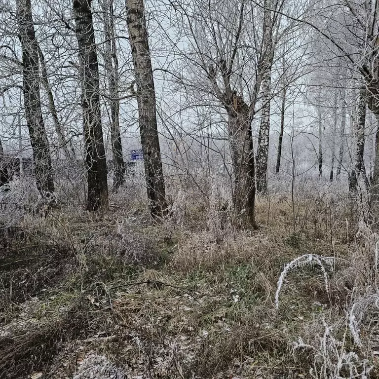 Участок в Московская область, Луховицы муниципальный округ, пос. ... - Фото 0