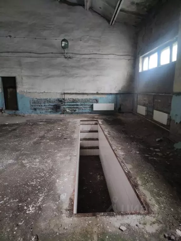 Помещение свободного назначения в Кемеровская область, Кемерово ... - Фото 2