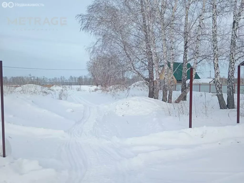 Участок в Новосибирский район, Верх-Тулинский сельсовет, ДНТ Берёзка, ... - Фото 0