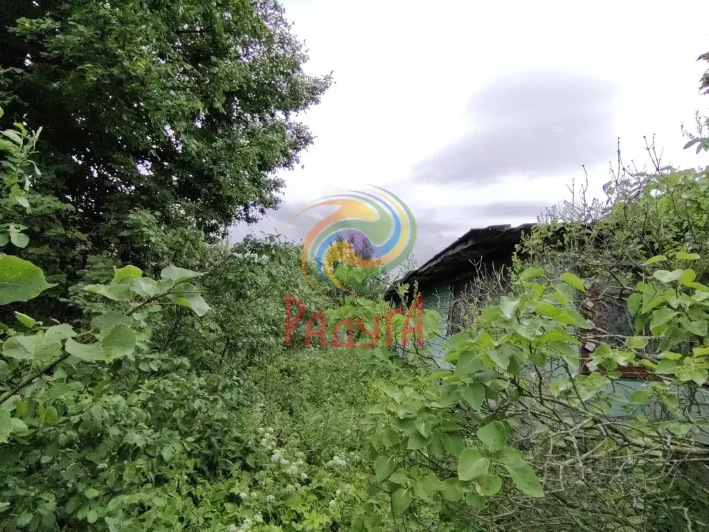 Участок в Ивановская область, Лежневский район, Сабиновское с/пос, д. ... - Фото 2