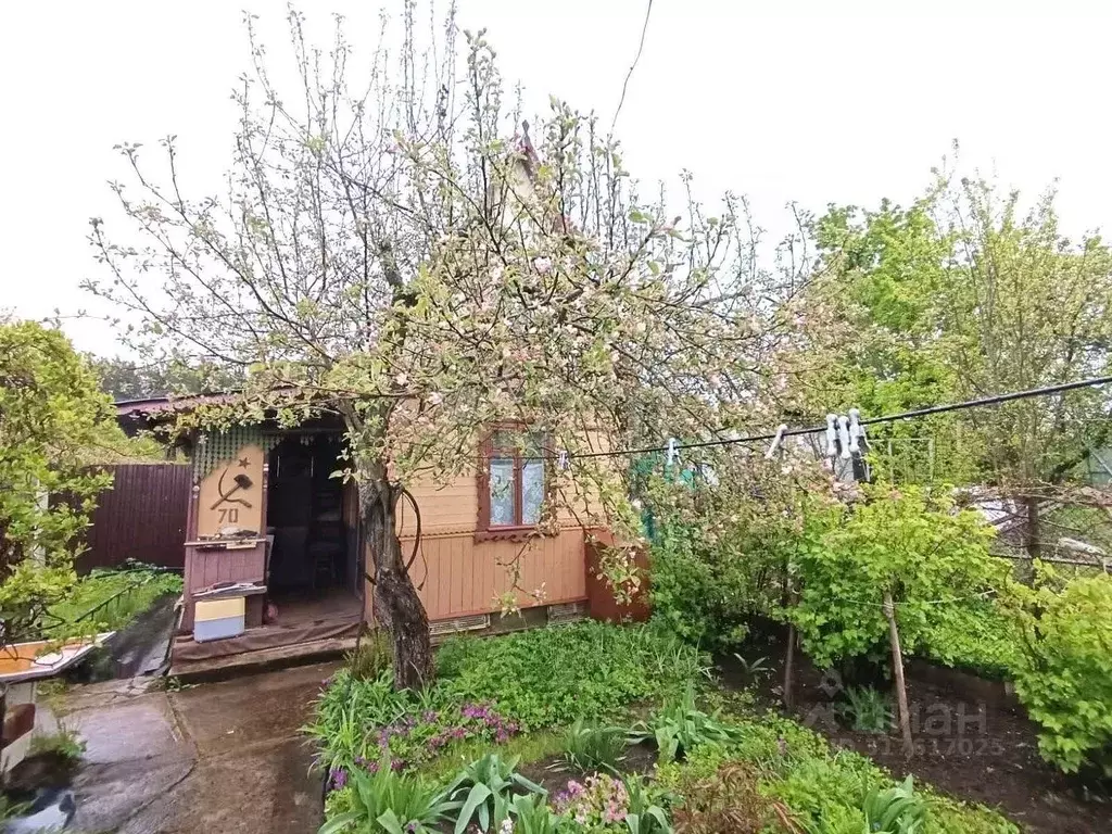 Дом в Псковская область, Псковский район, Ядровская волость, д. ... - Фото 1