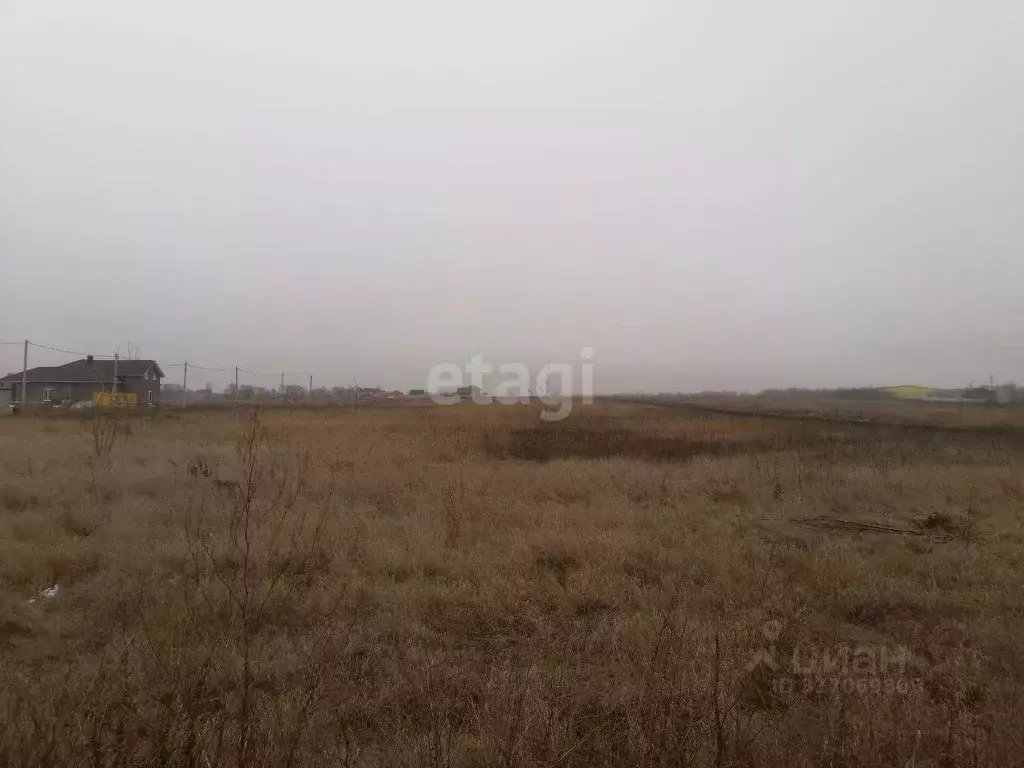 Участок в Курская область, Курский район, Новопоселеновский сельсовет, ... - Фото 0