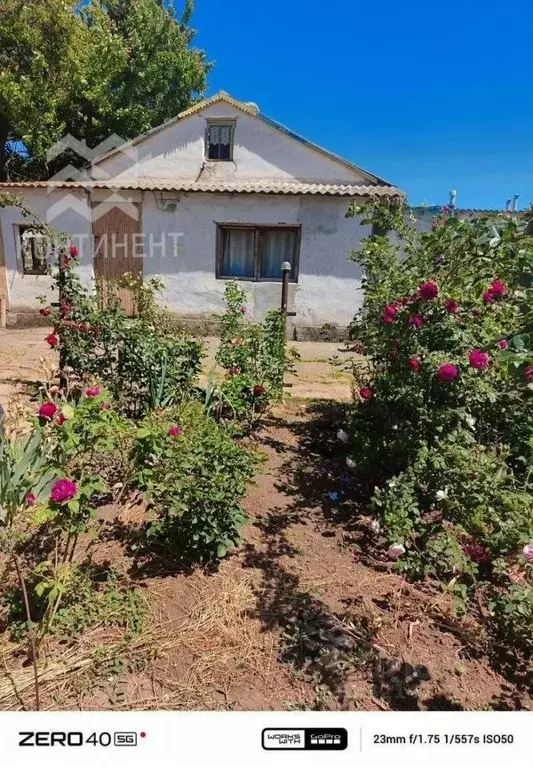 Дом в Крым, Сакский район, Ромашкинское с/пос, с. Колоски  (70 м) - Фото 2