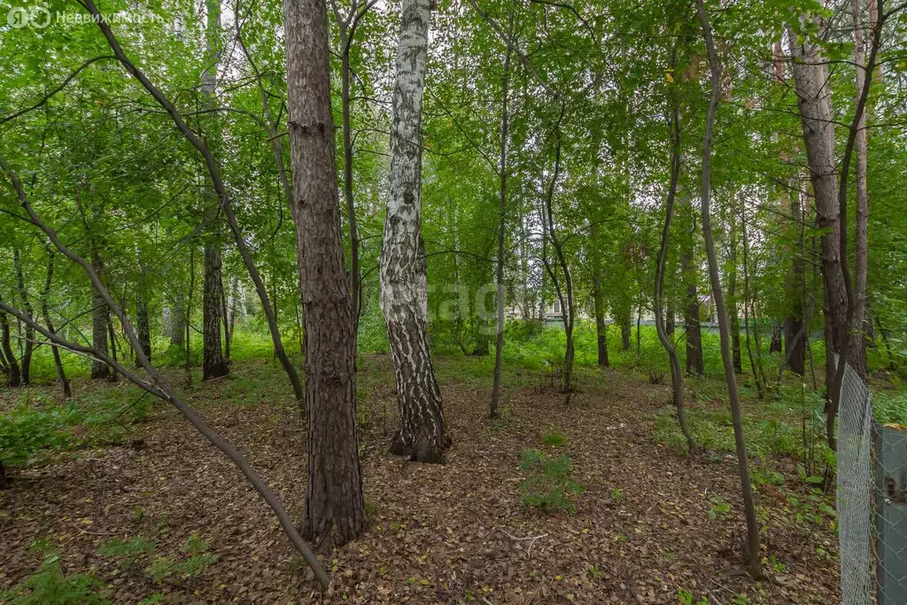 Участок в Барышевский сельсовет, посёлок Каинская Заимка (8.9 м) - Фото 1