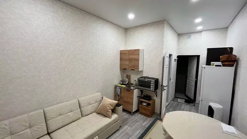 Студия Краснодарский край, Анапа ул. Мирная, 29к3 (17.1 м) - Фото 2