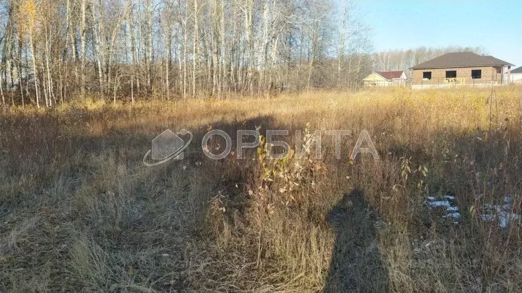 Участок в Тюменская область, Тюменский район, с. Каменка  (10.0 сот.) - Фото 1