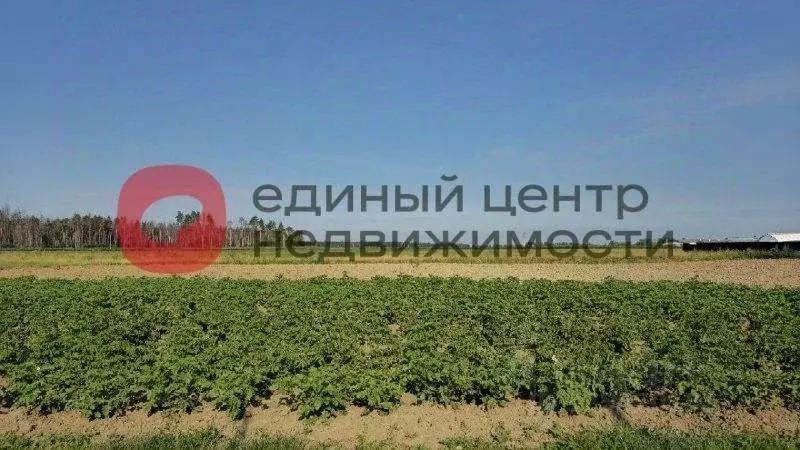 Участок в Тюменская область, Тюменский муниципальный округ, с. Успенка ... - Фото 2